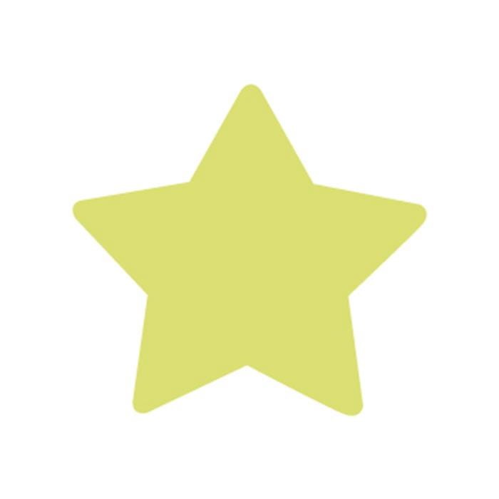 Duży dziurkacz ozdobny GWIAZDKA