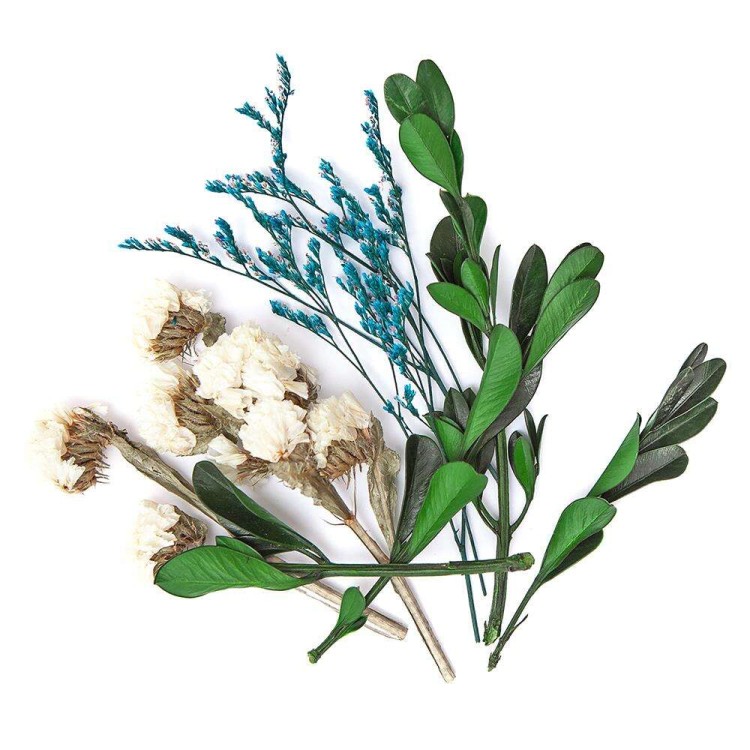 Suszone rośliny dekoracyjne 10-12 cm