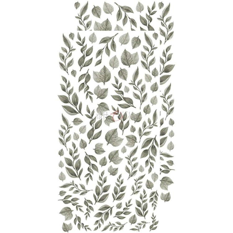 CC-BC-L-02_01