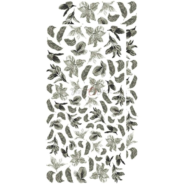 CC-BC-L-02_04