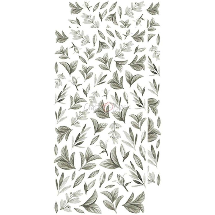 CC-BC-L-02_05
