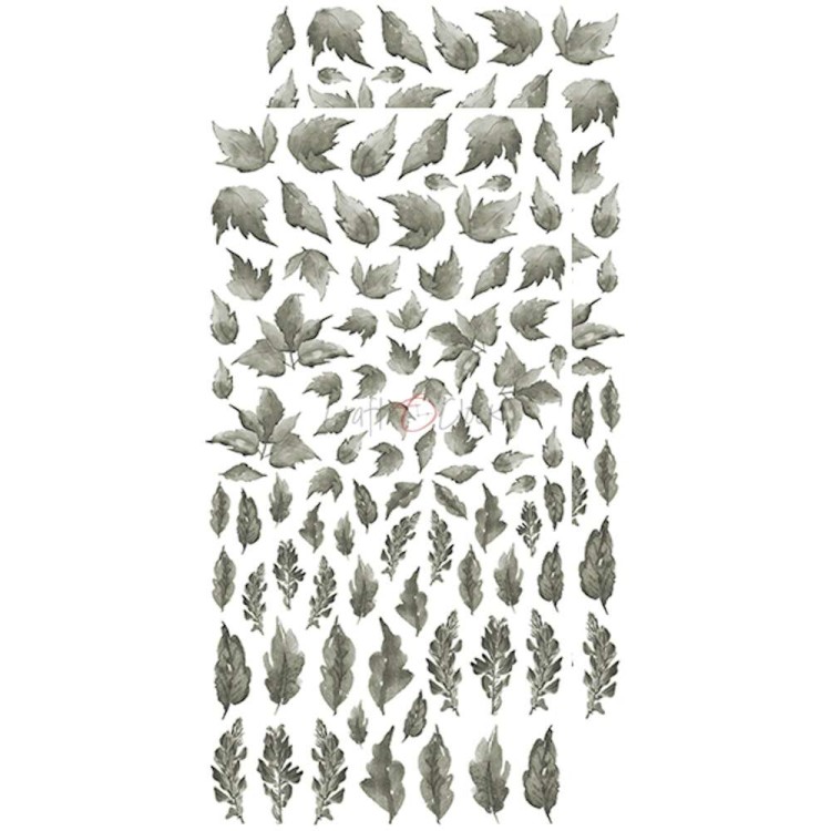 CC-BC-L-02_06