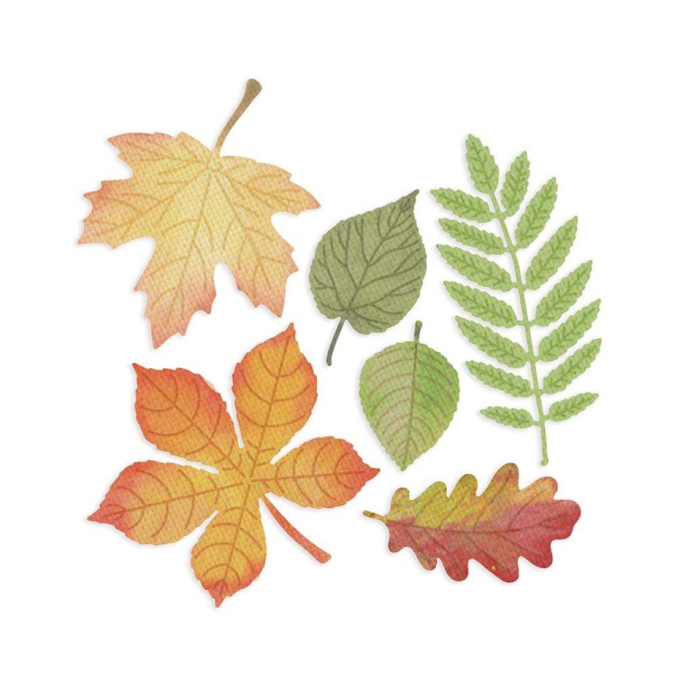 Zestaw wykrojników Liście 6szt.