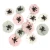 Anemony papierowe Cream & Nude 12 sztuk dpCraft