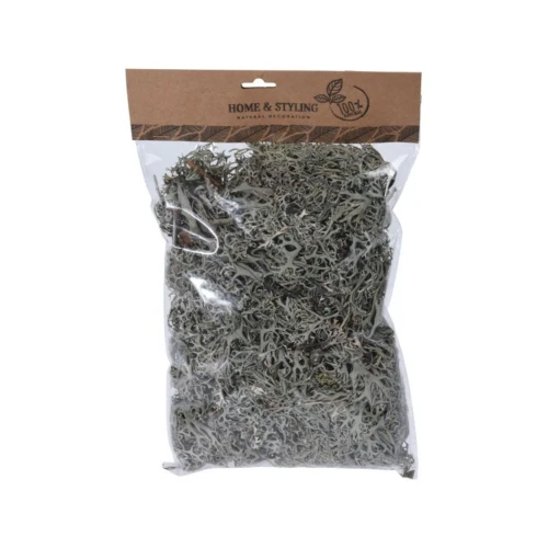 scrap-porost-islandzki-natural-100g.webp