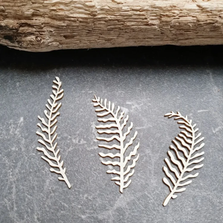 Listki paproci – tekturka ozdobna