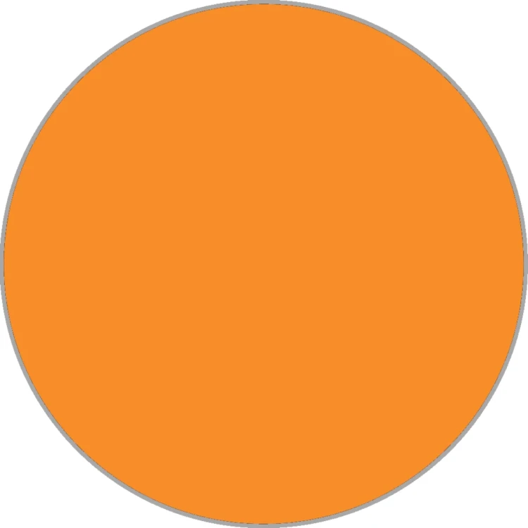 CarvedPumpkin_777e0961-2ef5-4436-85cd-17f64025410b.webp