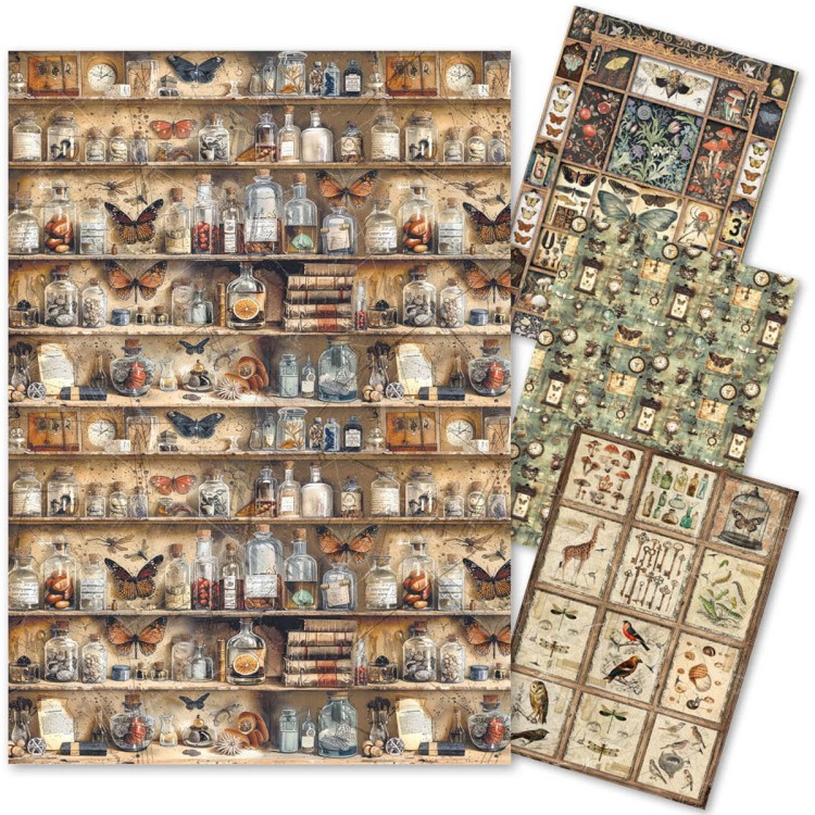 Zestaw Papierów Ryżowy A4 Mixed Cabinet of Curiosites 4 arkusze - Ciao Bella