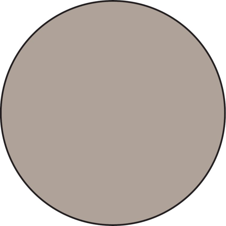 Pumice Stone