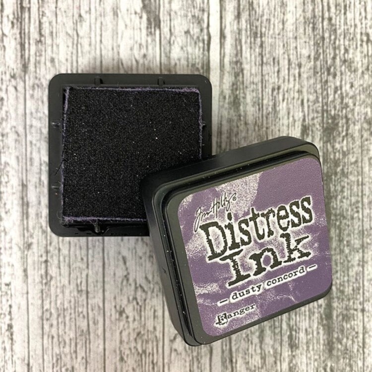 TDP39938 Dusty Concord
