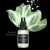 Tusz alkoholowy kameleonowe May beetle ScrapEgo 15 ml