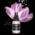 Tusz alkoholowy kameleonowe Rosy dream ScrapEgo 15 ml
